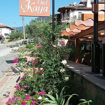 호텔 Kaya 아키아카