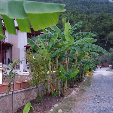 Kaya Akyaka (Mugla)